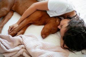 Cuddling with dog, wondering about pets and sleep apnea