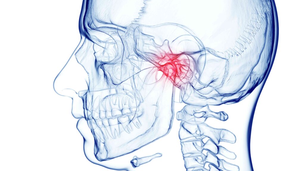 The temporomandibular joint