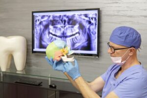 Dental professional holding model of human skull 